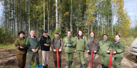 На Вологодчине продолжаются посадки деревьев в рамках акции «Сохраним лес» - Правительство Вологодской области