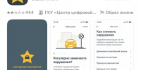 приложение народный инспектор - Газета Новая Кама