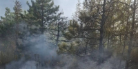 Пожар в районе Дюрсо, вспыхнувший после атаки БПЛА, потушили - 47 новостей