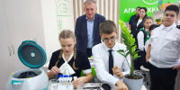 В станичной школе Георгиевского округа открыли агрокласс - Вечерний Ставрополь