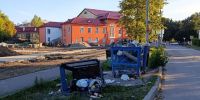 Бесхозные брянские лошади научились переворачивать мусорные контейнеры - Сетевое издание Новости Брянска
