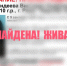 В Ржеве нашли пропавшую девочку-подростка - Афанасий-биржа