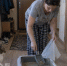 Содержимое кошачьего лотка не выбрасываю, а тащу на дачу и бед не знаю - бесплатно и эффективно спасла огород и дом - Pg12.Ru