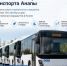 Объявлены результаты электронного аукциона на закупку 101 автобуса для муниципальных маршрутов в Анапе - Itar-TassKuban.Ru