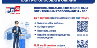 Дистанционное электронное голосование: ЦИК России информирует избирателей Алтайского края - Избирательная комиссия