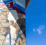 7byeg3fo2zph3rvxto43n988w56zk2bv.jpg - Primorye24.Ru