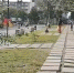 Новый сквер в Петропавловске превратился в полосу препятствий для горожан - ИА Кам 24