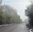Фото:  () - ИА Город Новостей
