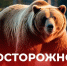 Внимание, жители и гости Качугского округа! - Качугский район