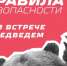 Осторожно, медведи: памятка безопасности в сезон активности медведей. - Северо-Енисейский муниципальный округ
