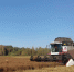 Рабочая группа под руководством Михаила Ратнера оценила ход уборочной кампании в Зырянском районе - Департамент по социально-экономическому развитию села