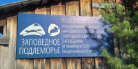 В Бурятии из-за медведей ввели ограничения в Забайкальском нацпарке - Газета Номер один