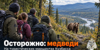 МЧС России предупреждает туристов об участившихся встречах с медведями в Кузбассе - МЧС России