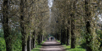 В Санкт-Петербурге 10 сентября ожидается до +18 градусов - Петербургский дневник