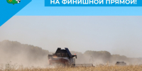 Аграрии на финишной прямой! - Беловский район