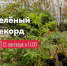 Фото: официальный сайт администрации Мурманска - НИА Мурманск