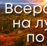 Стартовал четвертый сезон конкурса «Дальний Восток — Земля приключений» - Таймырский краеведческий музей