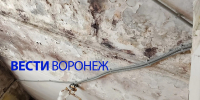 Капремонт дома под Воронежем перенесли с 2046 года на 2026-й из-за сорванной штормом крыши - ГТРК Воронеж