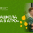 Центр аграрного лидерства «Молодежная станица Дон» готовится к запуску межрегиональной образовательной медиашколы «Медиа в агро» - Министерство сельского хозяйства и продовольствия