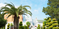 walkway-summer-park-with-palm-trees-amara-dolce-vita-luxury-hotel-resort-tekirova-kemer-turkey.jpg - Gorod3466.Ru