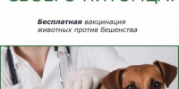Уважаемые владельцы домашних животных города Галича! - Город Галич