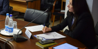 Верховный суд Удмуртии снял с выборов в Госдуму Ию Боронину - Сусанин