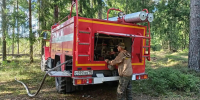 В Павлово-Посадском ликвидировали лесной пожар - MosRegToday.Ru