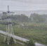 background - Kaluga-Poisk.Ru