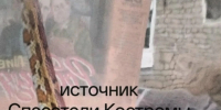 Кусачая змея сбежала от хозяйки и обосновалась в костромском подъезде - Комсомольская Правда