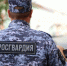 В Няндоме сотрудники Росгвардии задержали местного жителя, объявленного в розыск - Росгвардия