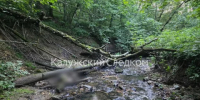 В Обнинске опознали мумифицированное тело - Калужский перекрёсток