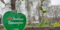Присоединяйся к экологическим акциям! - Янаульский район