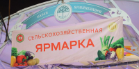 Татарстан запускает сельхозярмарки с 12 сентября - Нурлат-⁠информ
