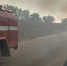 Ландшафтный пожар уничтожил часть заповедника "Оренбургский" - M24.Ru