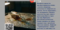 . - Выборгский район