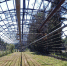 Тепличный комплекс с саженцами сосны готовят к зиме в Забайкалье - Забайкальский рабочий