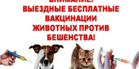 мероприятие " День бесплатной вакцинации" против бешенства животных. - Пыщугский муниципальный округ