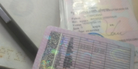 Жительница Иркутской области ответит в суде за отравление бездомной собаки - IrkutskMedia.Ru
