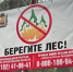 Фото предоставлено министерством природных ресурсов и ЛПК Архангельской области - News29.Ru