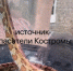 Домашняя змея перепугала жителей многоквартирного дома в Костромской области - Северная правда