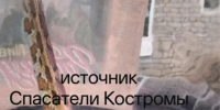Домашняя змея перепугала жителей многоквартирного дома в Костромской области - Северная правда