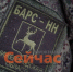В БАРС-НН начали рассматривать кандидатов с категорией негодности - ИА Нижний сейчас