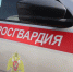 Крупный план борта служебного автомобиля Росгвардии с красной полосой и ведомственной эмблемой - 168.Ru