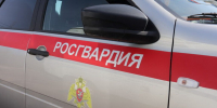 Крупный план борта служебного автомобиля Росгвардии с красной полосой и ведомственной эмблемой - 168.Ru