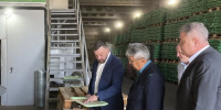 В Волгоградской области развивают индустриальный парк «Орловка» - Администрация области