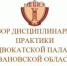 Опубликован обзор дисциплинарной практики АПИО за 2025 год - Адвокатская палата