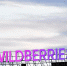 Бизнесу Челнов, пострадавшему после атак на Wildberries, дадут льготные микрозаймы - Chelny-Biz.Ru