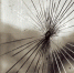 Власти рассказали об обстановке в Борисоглебске после смертельной атаки БПЛА - ГТРК Воронеж