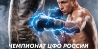 Впервые во Владимире – чемпионат ЦФО по силе удара - Администрация области
