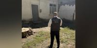 Житель воронежского поселка Ольховатка зарезал собутыльника - РИА Воронеж